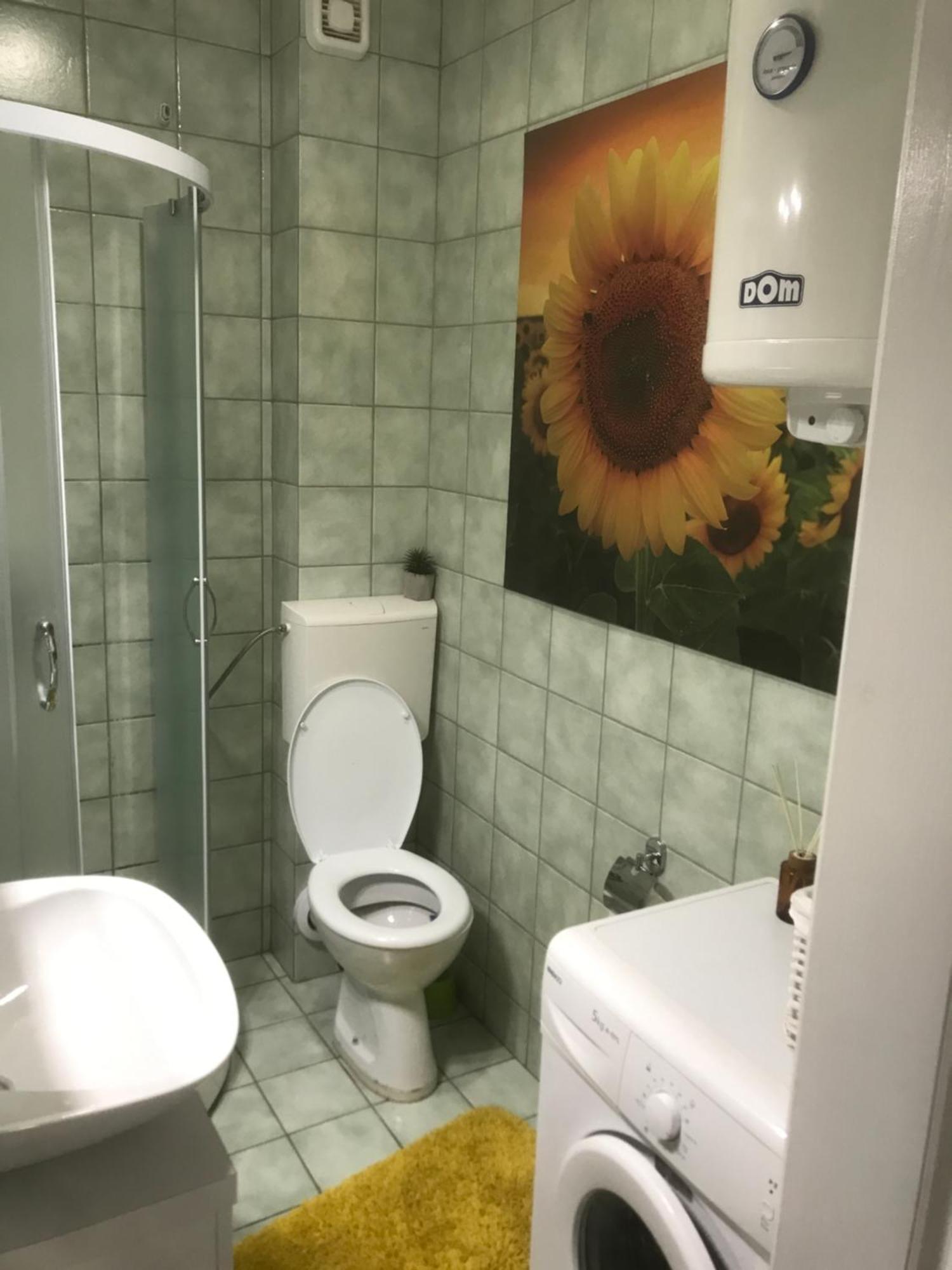 Apartman Kristina Free Parking Újvidék Kültér fotó